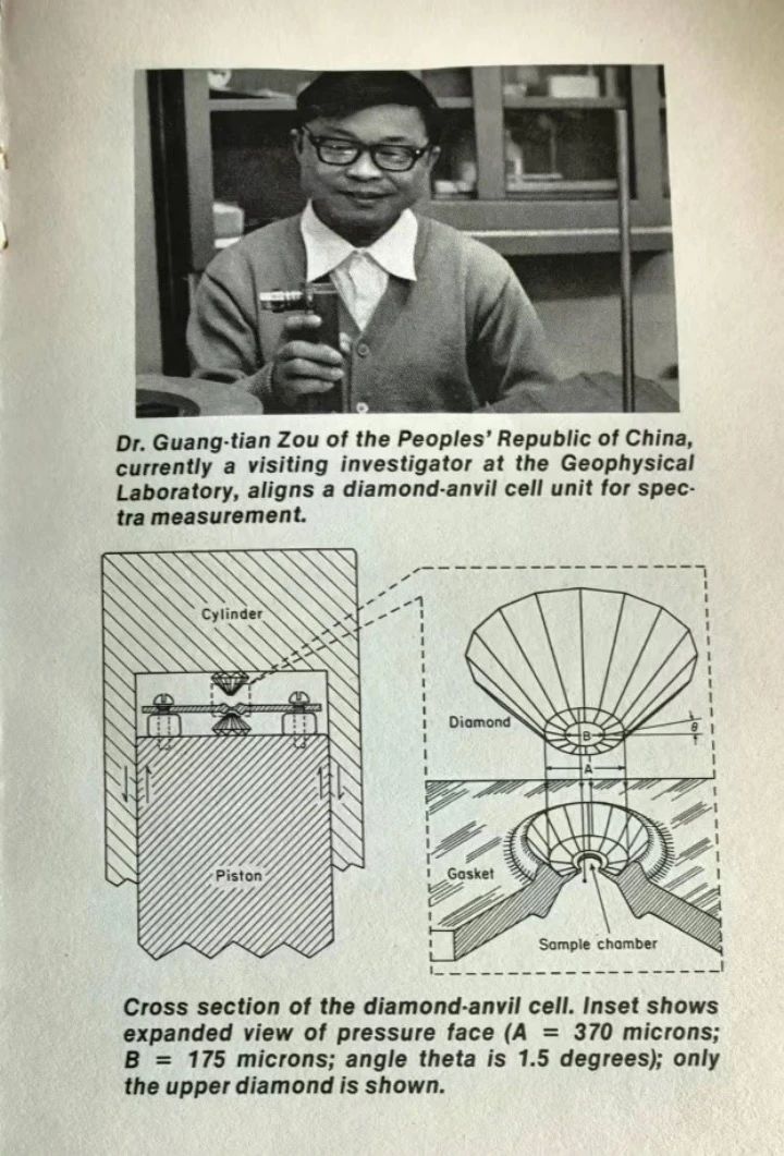 四虎影视